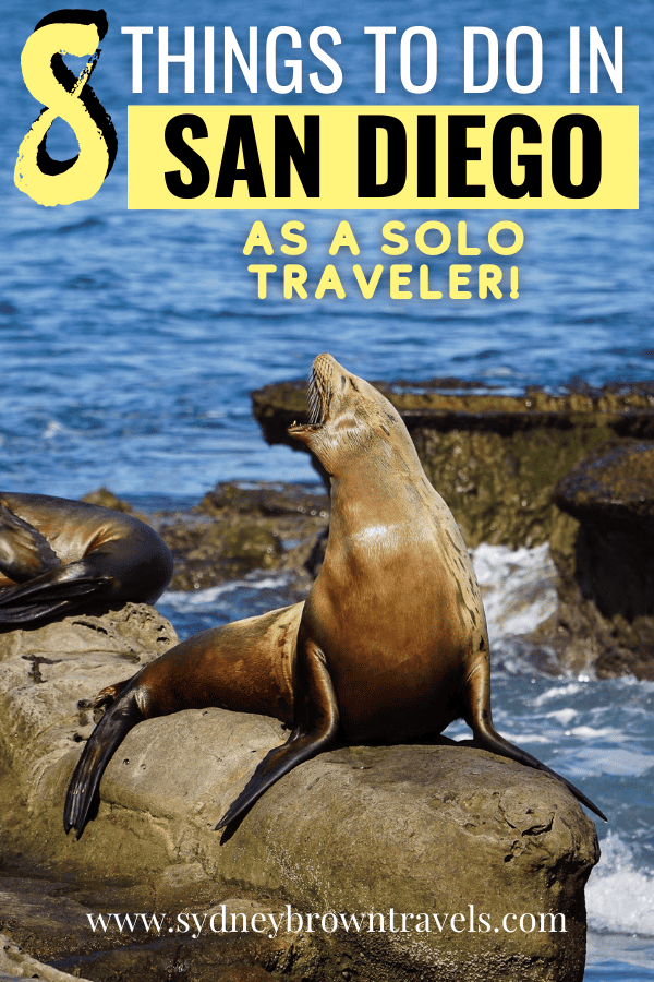 Solo Trip To San Diego: 8 Things To Do Alone In San Diego