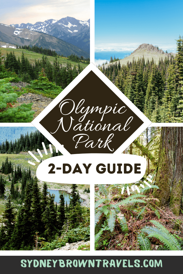 2 Day Olympic National Park Itinerary for First Timers