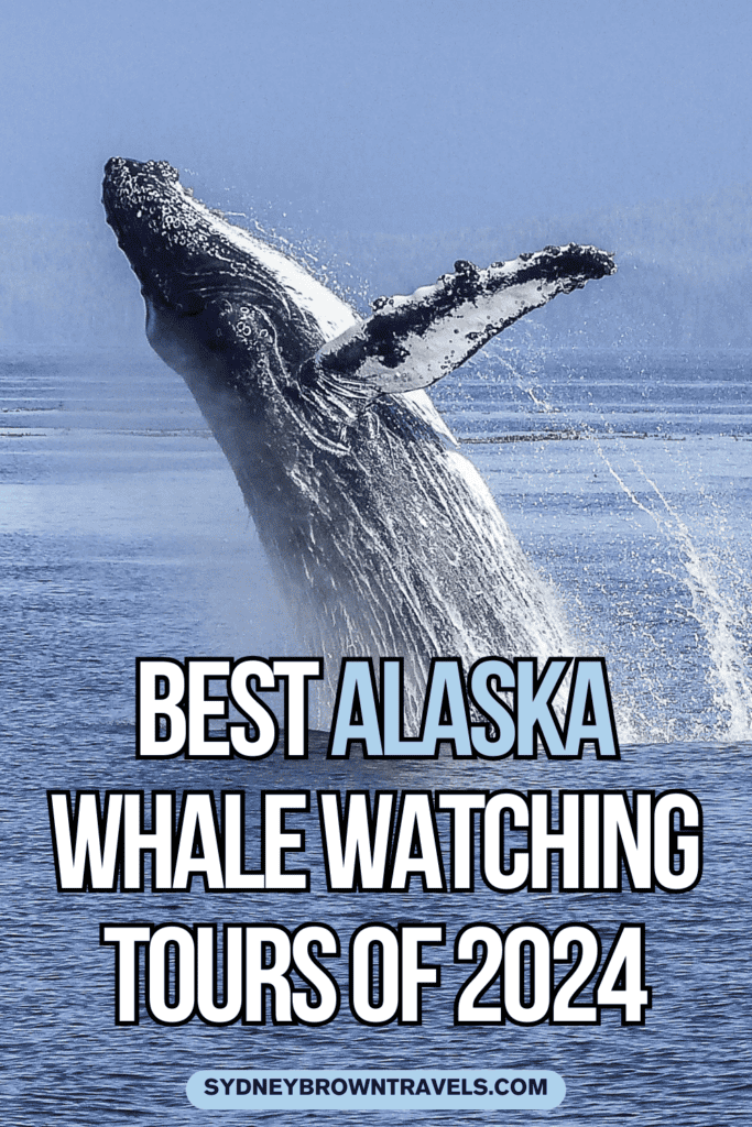 Best Tours for Whale Watching in Icy Strait Point, Alaska