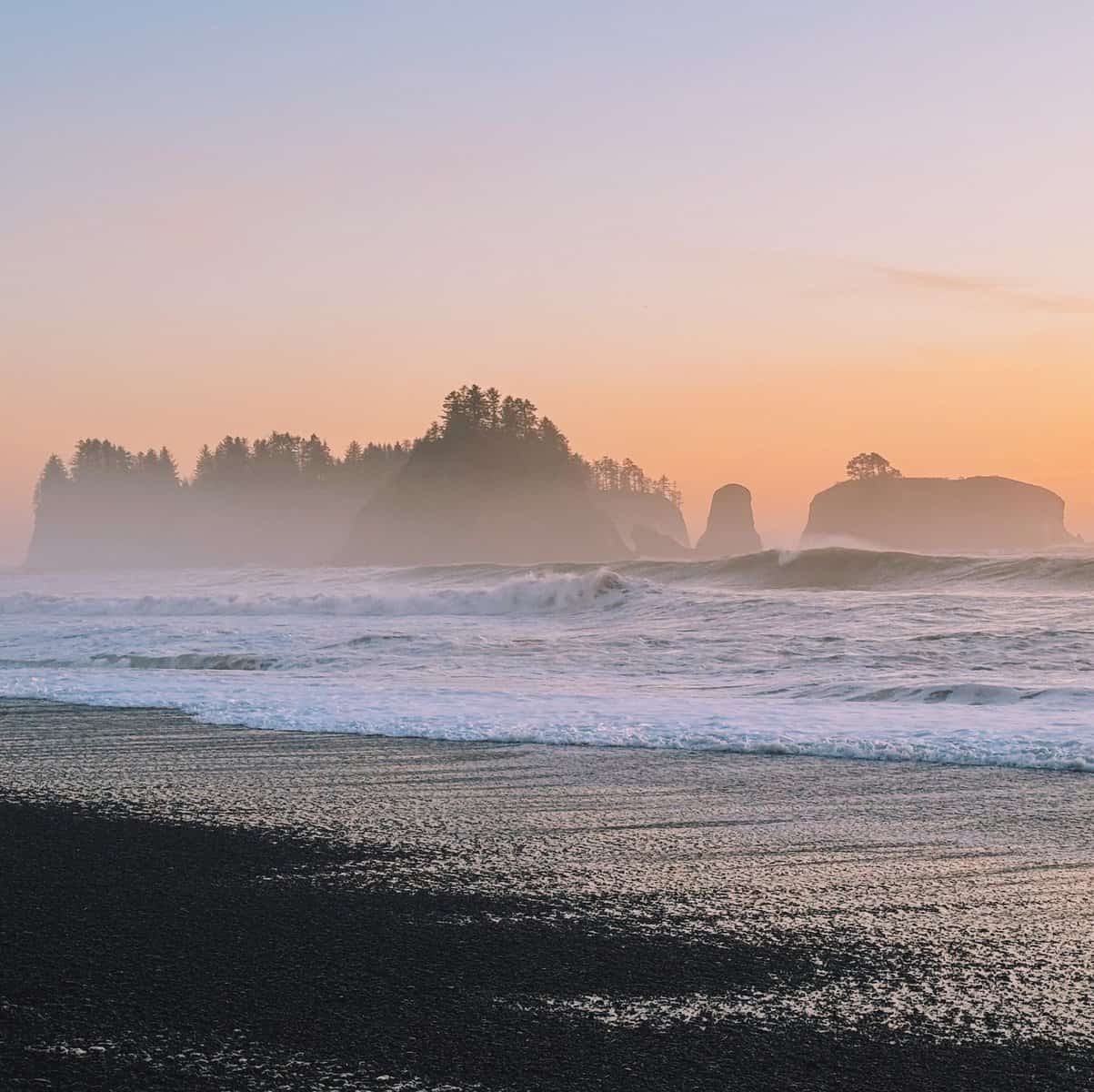 Olympic National Park vs Mount Rainier National Park: Ultimate Guide