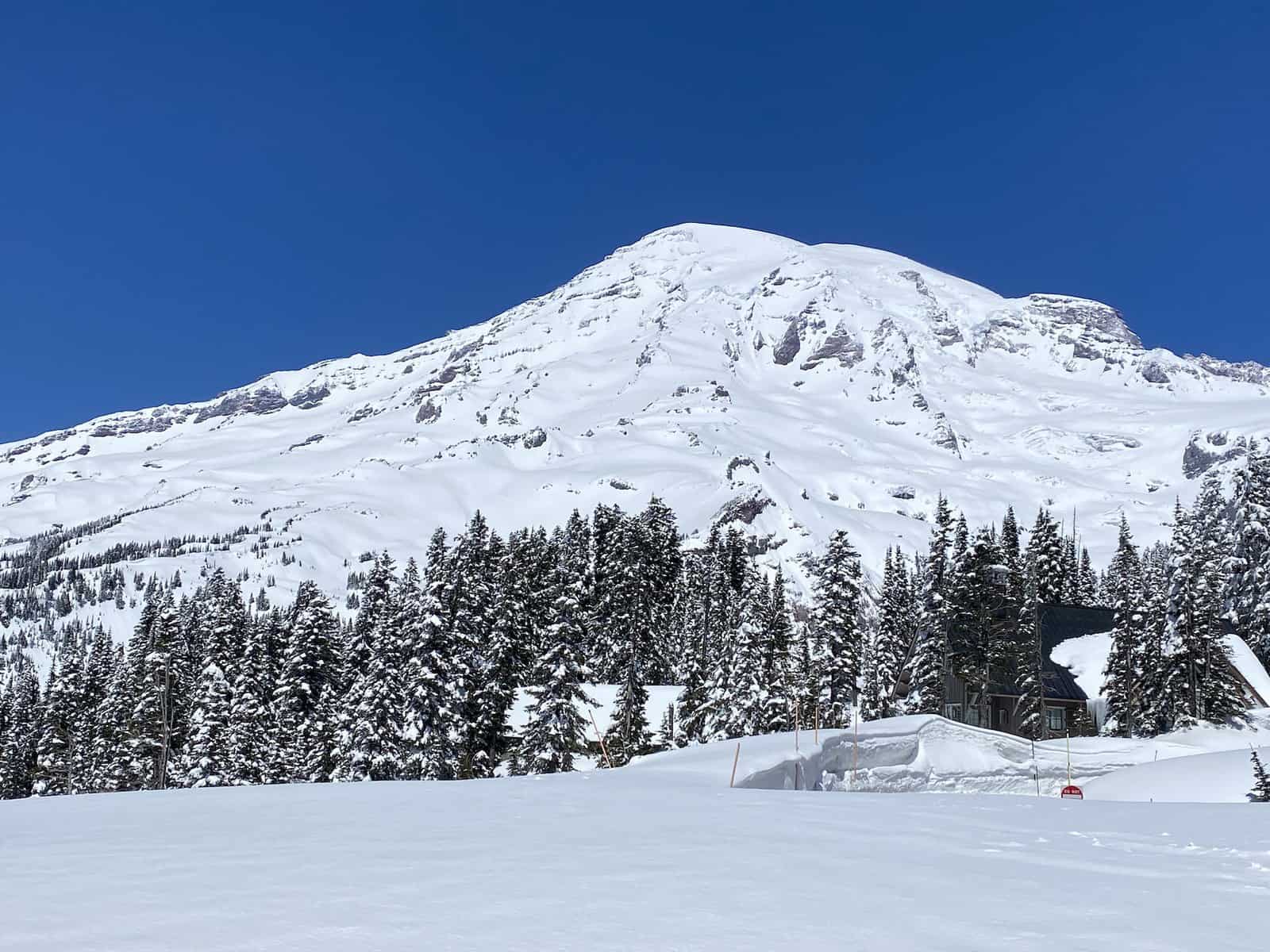 Mount Rainier vs Olympic National Park A Comparative Analysis